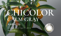 KARACON CHICOLOR Calm Gray Monthly Contact Lenses