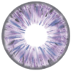Kazzue Legacy Violet Lens