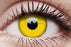 ColourVue Crazy Yellow Colored Lens