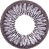 Neo Sunflower Gray Lens