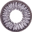 Neo Sunflower Gray Lens