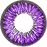 Neo Sunflower Violet Lens