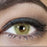 Urban Layer Universe Brown aka Spatax Love Brown